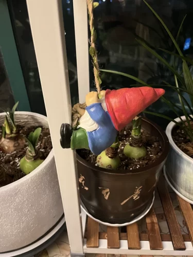 Click to view full screen Runaway Gnome Figurine Climbing on The Wall review-3