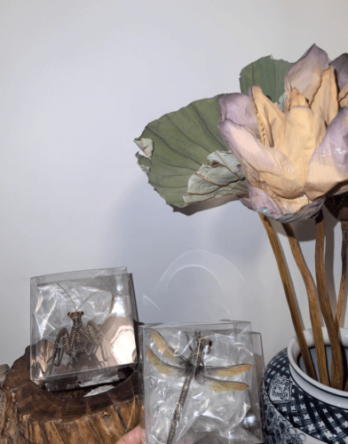 Click to view full screen handmade woven insect for plants decor