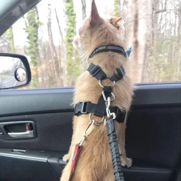 Dog Safe Car Seat Belt - 4