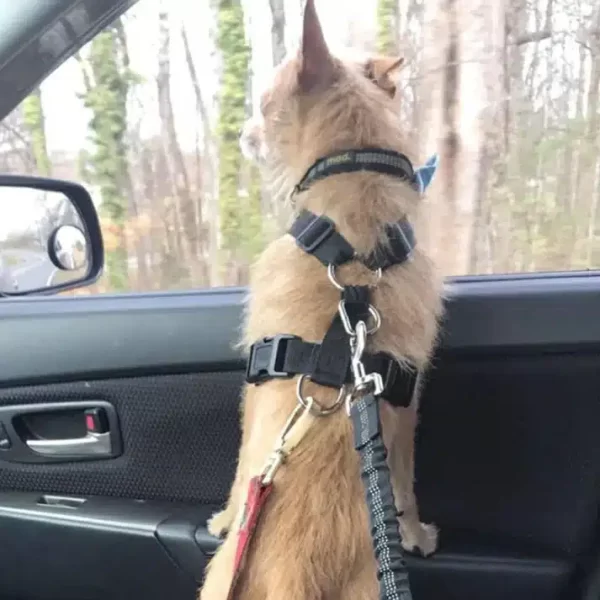 Dog Safe Car Seat Belt - 4