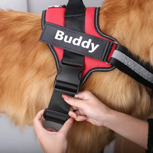 custom name doggy harness - 1