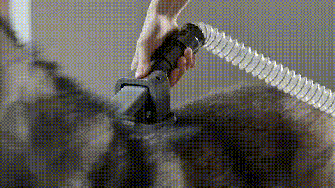 doggy grooming kit -2
