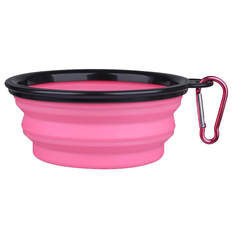 pink dog bowl